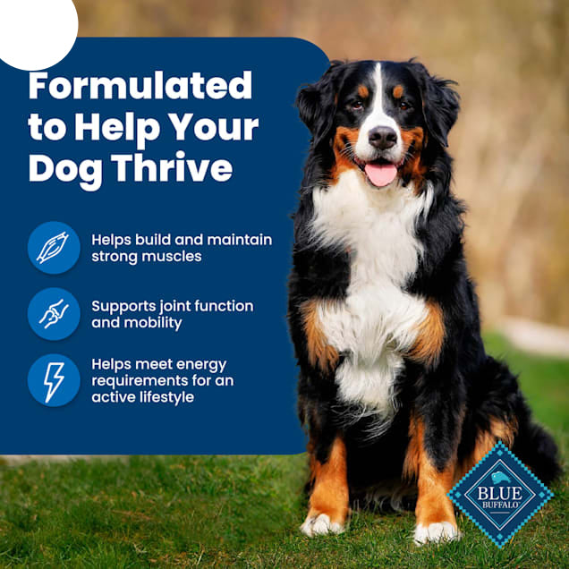 Blue Buffalo Life Protection Formula Chicken & Brown Rice Adult Dry Dog Food