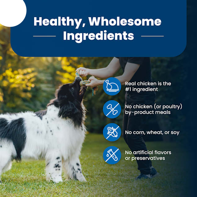 Blue Buffalo Life Protection Formula Chicken & Brown Rice Adult Dry Dog Food