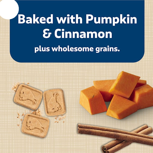 Blue Buffalo Health Bars Oven-Baked with Natural Ingredients Pumpkin & Cinnamon Crunchy Dog Biscuits, 16 oz