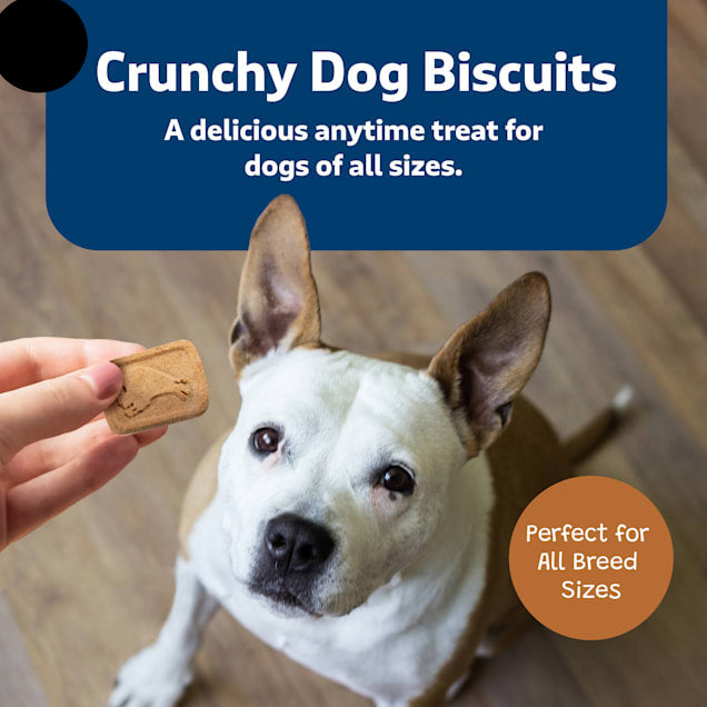 Blue Buffalo Health Bars Oven-Baked with Natural Ingredients Pumpkin & Cinnamon Crunchy Dog Biscuits, 16 oz.