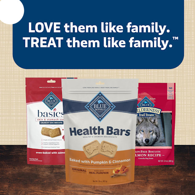 Blue Buffalo Health Bars Oven-Baked with Natural Ingredients Pumpkin & Cinnamon Crunchy Dog Biscuits, 16 oz