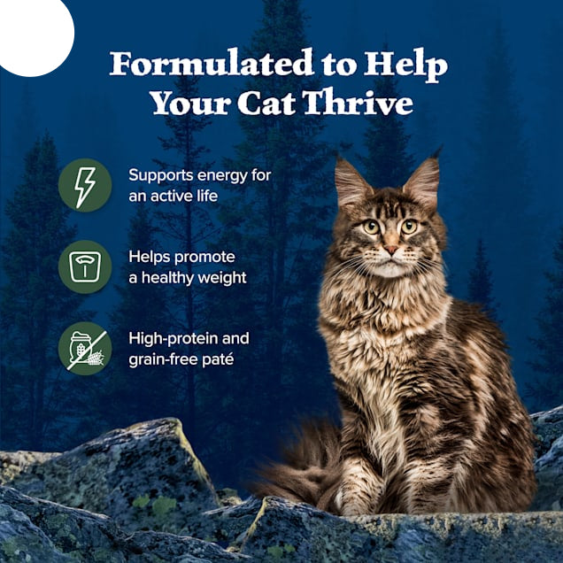 Blue Buffalo Wilderness Duck High-Protein Adult Cat Wet Food