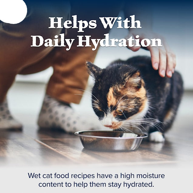 Blue Buffalo Wilderness Duck High-Protein Adult Cat Wet Food