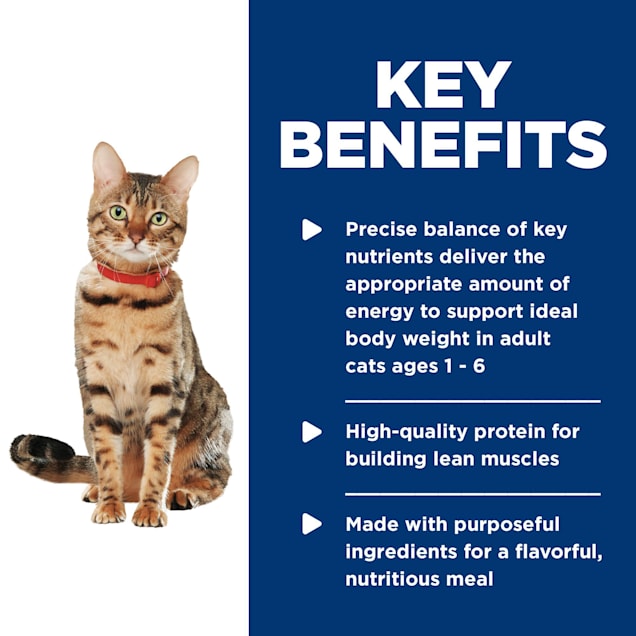 Hill's Science Diet Adult Healthy Cuisine Roasted Chicken & Rice Medley Canned Wet Cat Food