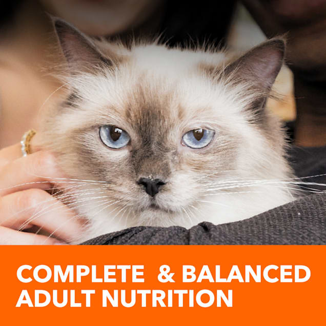Iams ProActive Health Indoor Weight Control & Hairball Care Chicken & Turkey Adult Dry Cat Food