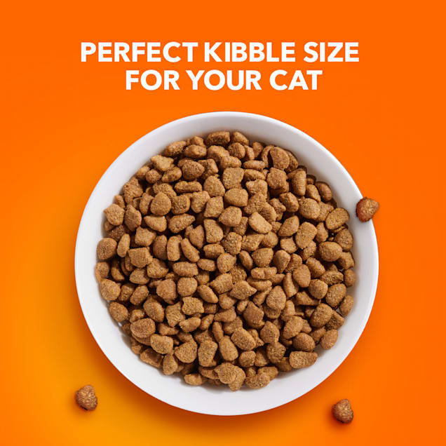Iams ProActive Health Indoor Weight Control & Hairball Care Chicken & Turkey Adult Dry Cat Food