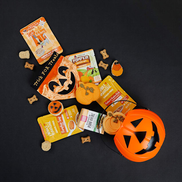 WholeHearted Pumpkin Soup Puree Dog Meal Topper