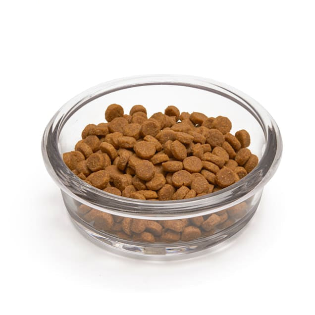 EveryYay Dining In Glass Bowl Insert for Pets