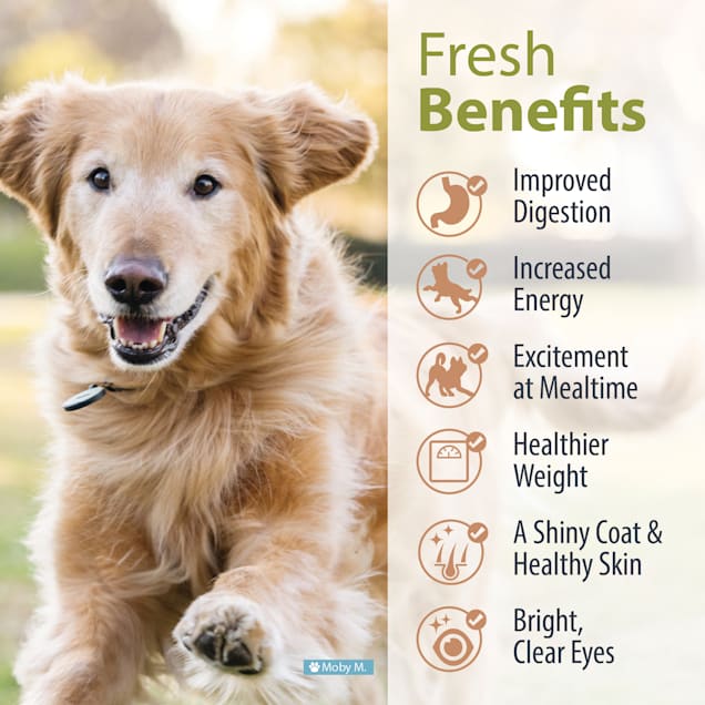 JustFoodForDogs Diets Joint & Skin Frozen Dog Food