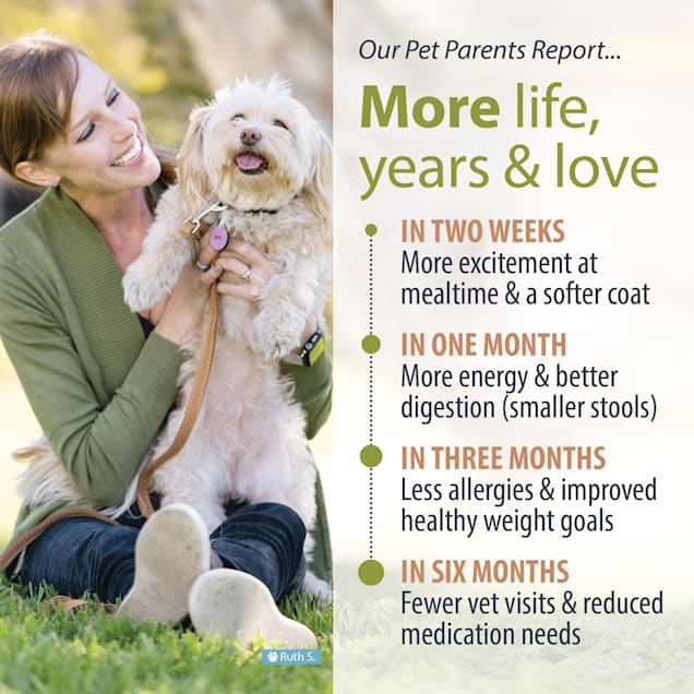 JustFoodForDogs Diets Joint & Skin Frozen Dog Food