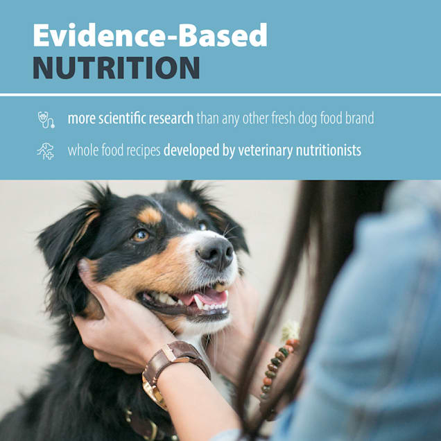 JustFoodForDogs Daily Diets Venison & Squash Frozen Dog Food