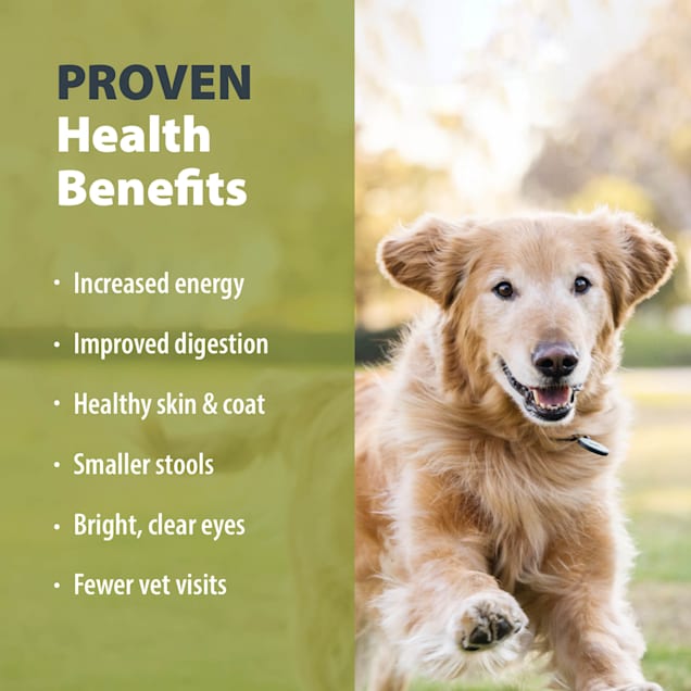 JustFoodForDogs Daily Diets Venison & Squash Frozen Dog Food