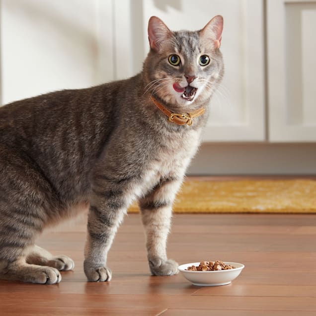 Meow Mix Tenders in Sauce With REAL Turkey & Giblets Wet Cat Food
