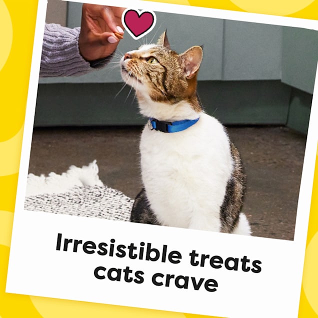 Temptations Classics Tasty Chicken Flavor Crunchy and Soft Cat Treats