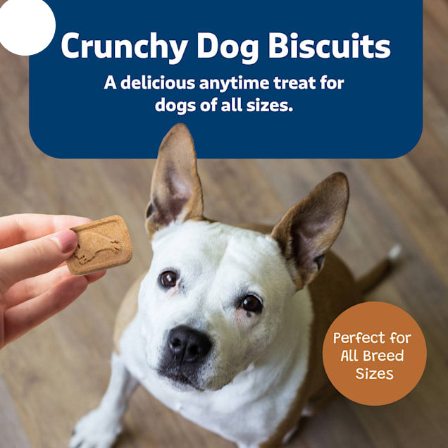 Blue Buffalo Health Bars Oven-Baked with Natural Ingredients Pumpkin & Cinnamon Crunchy Dog Biscuits, 16 oz