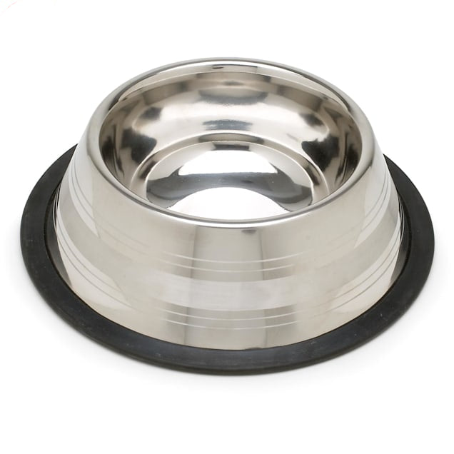 EveryYay Dining In Two-Toned No-Tip Stainless Steel Dog Bowl