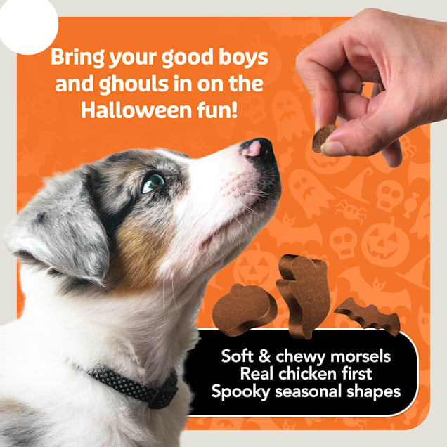 Blue Buffalo Boo Bits Tasty Chicken Recipe Soft & Chewy Halloween Dog Treats, 4.5 oz.
