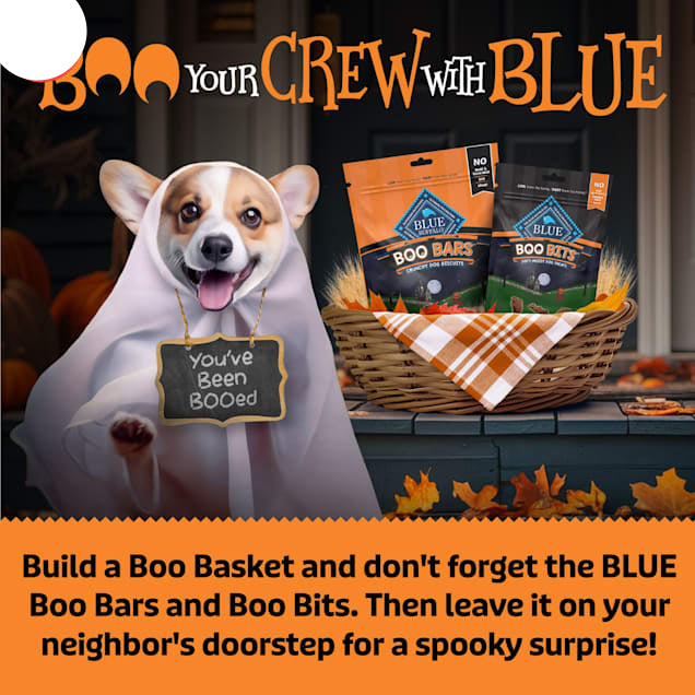 Blue Buffalo Boo Bits Tasty Chicken Recipe Soft & Chewy Halloween Dog Treats, 4.5 oz.