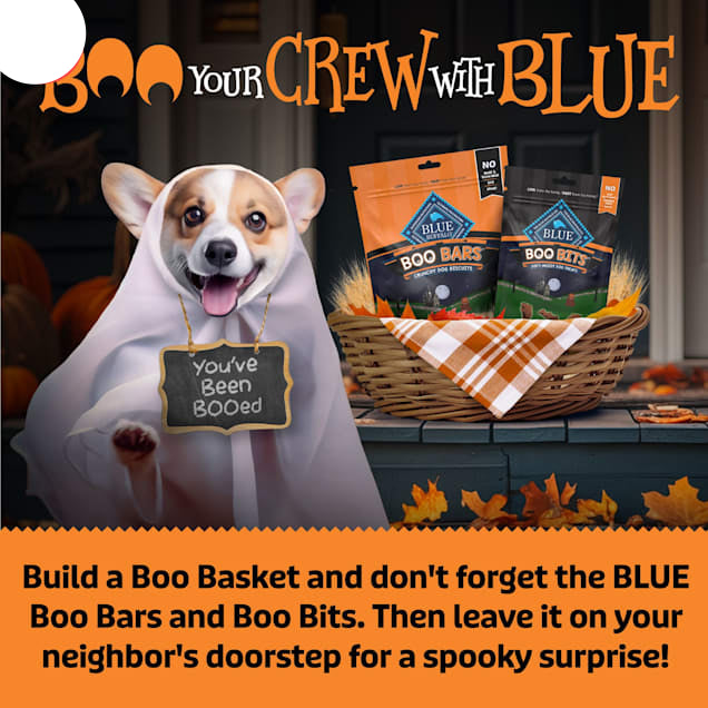 Blue Buffalo Boo Bits Tasty Chicken Recipe Soft & Chewy Halloween Dog Treats, 4.5 oz.